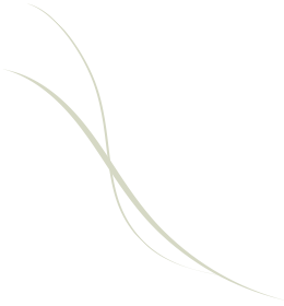 deco